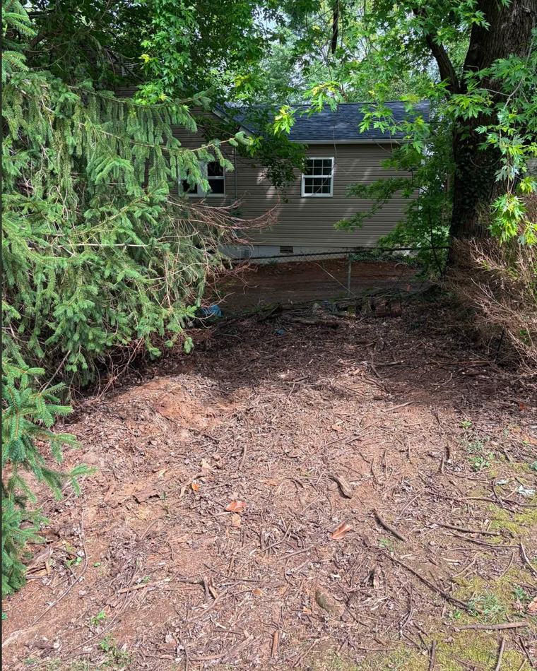 Brush & limb clearing after — area cleared by JB Removal Services