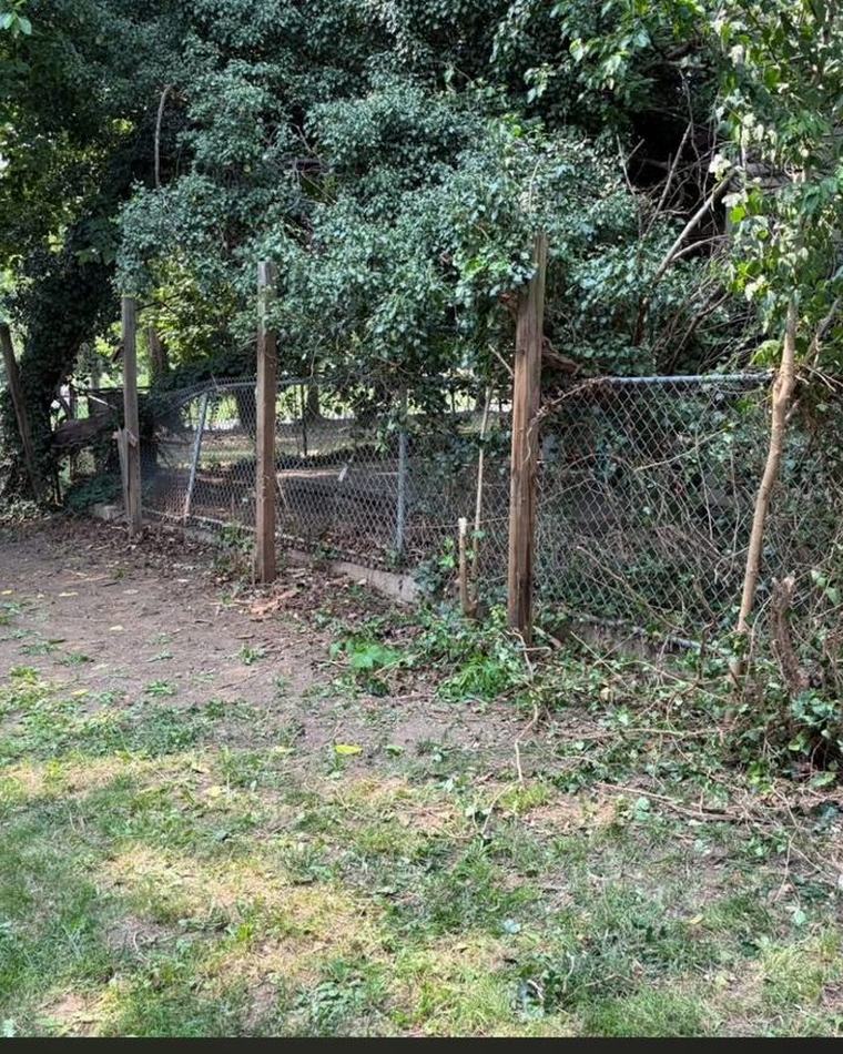 Fence tear-out after — area cleared by JB Removal Services