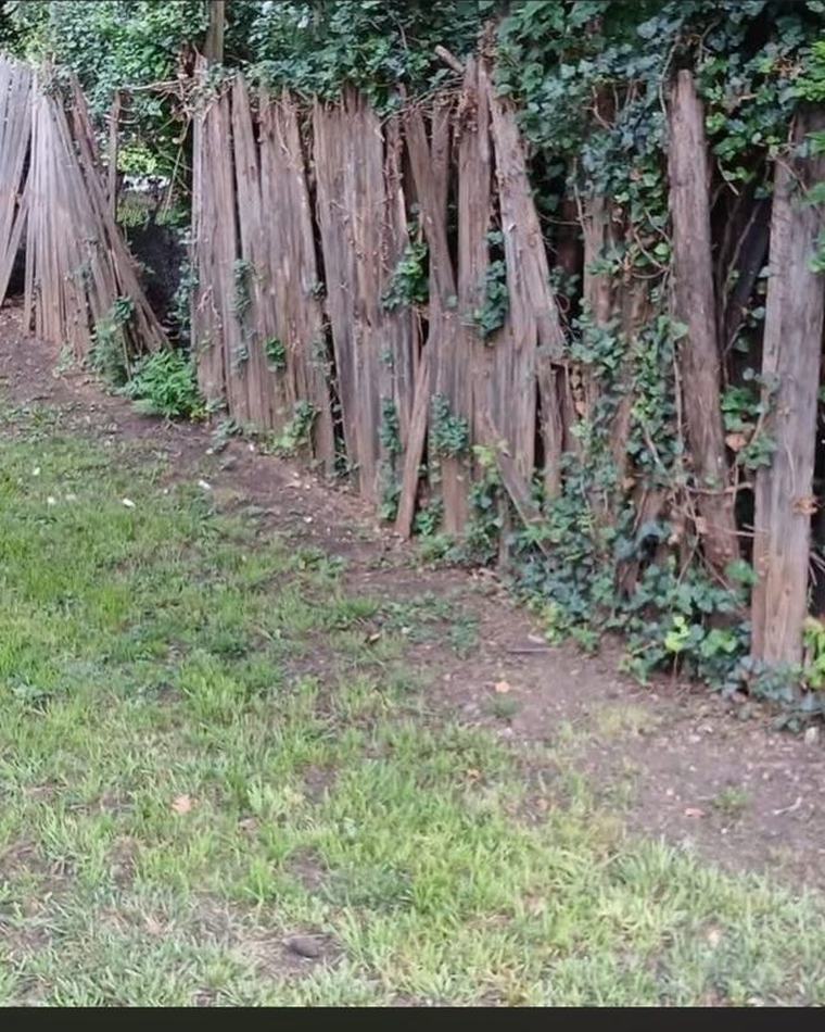Fence tear-out before — JB Removal Services, Martinsburg WV