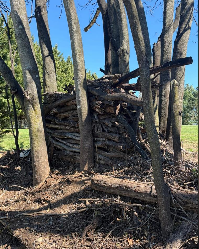 Wood pile cleanout before — JB Removal Services, Martinsburg WV